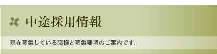 中途採用情報　現在募集している職種と募集要項のご案内です。